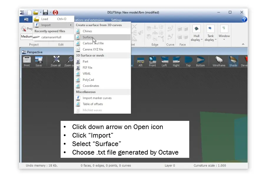Importing the surface file