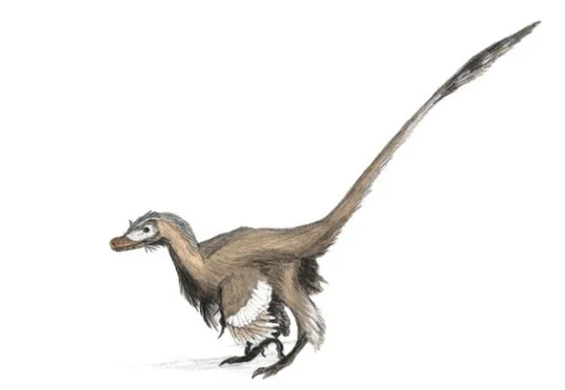 Viscious velociraptor