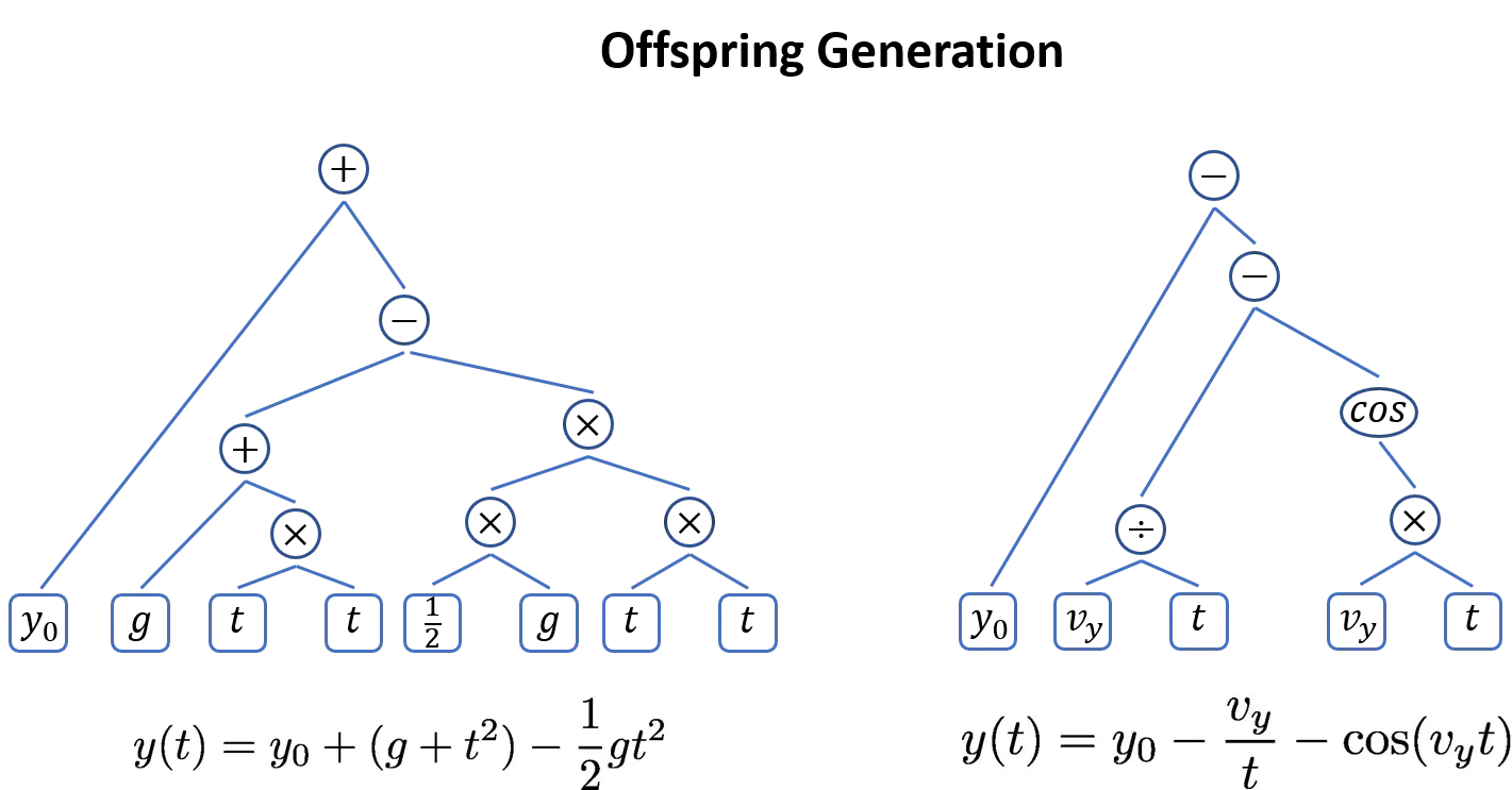 Offspring Generation