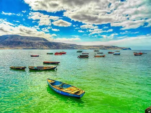 Mejillones