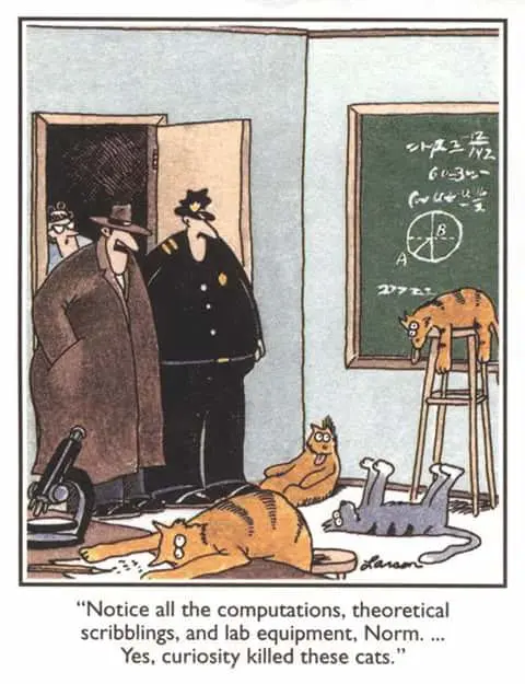 curiosity-killed-cats