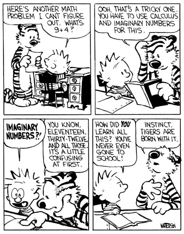 calvin-and-hobbes-calculus